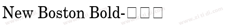 New Boston Bold字体转换